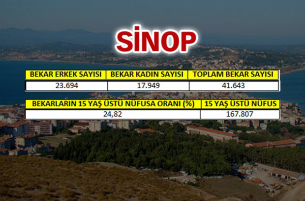 en-fazla-bekar-hangi-ilde-25
