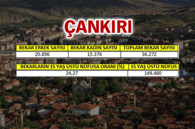 en-fazla-bekar-hangi-ilde-29