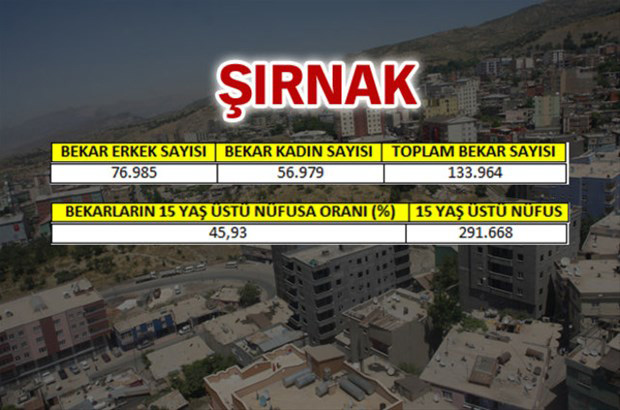 en-fazla-bekar-hangi-ilde-33