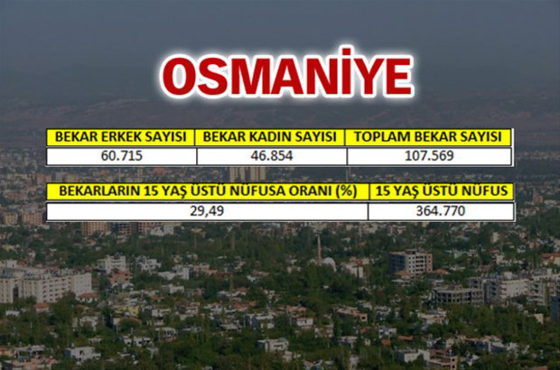 en-fazla-bekar-hangi-ilde-45