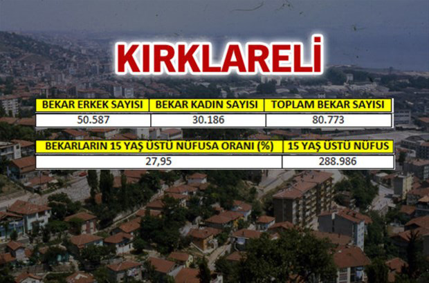 en-fazla-bekar-hangi-ilde-55