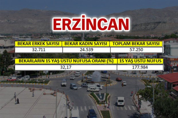 en-fazla-bekar-hangi-ilde-61