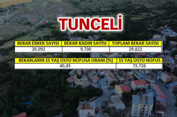 en-fazla-bekar-hangi-ilde-65