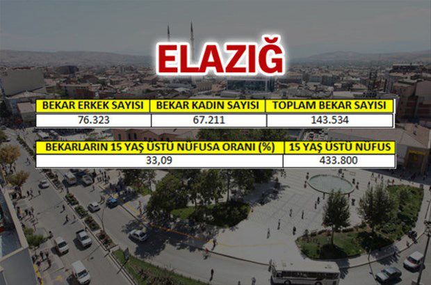en-fazla-bekar-hangi-ilde-66