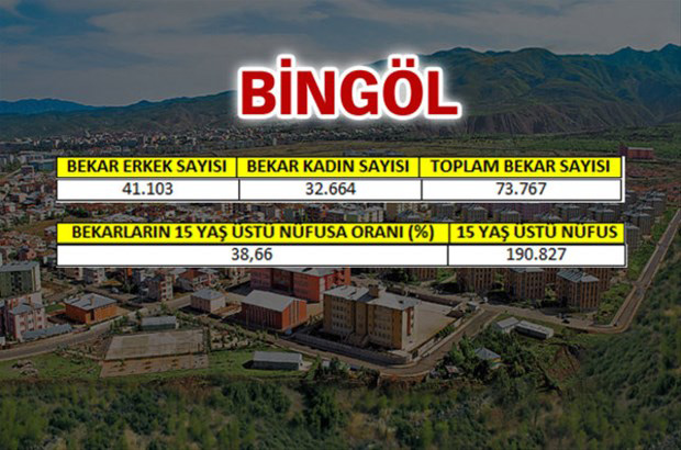 en-fazla-bekar-hangi-ilde-69