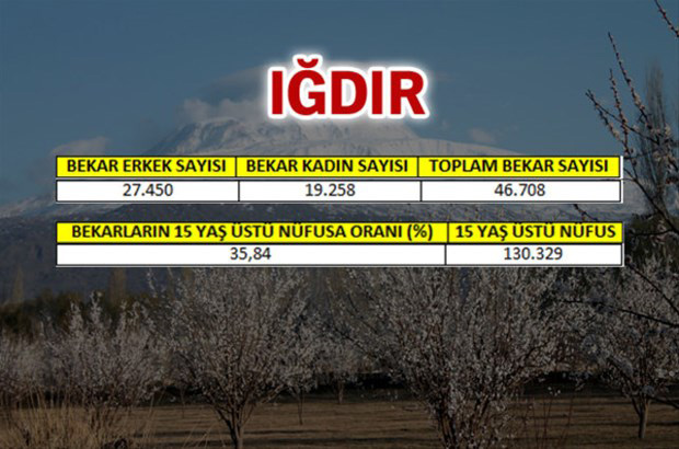 en-fazla-bekar-hangi-ilde-75