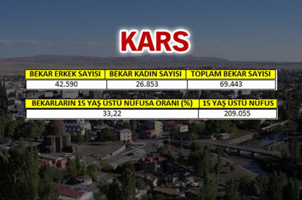 en-fazla-bekar-hangi-ilde-78
