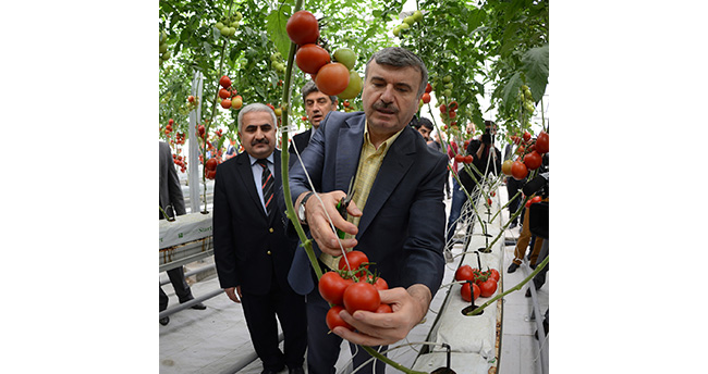 konyanin-coplerinden-bir-yilda-43-milyon-kilowatt-elektrik-uretildi-2