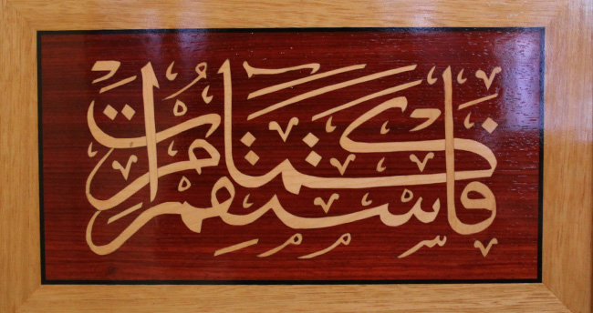 markuteriyi-dunyaya-tanitiyor-2