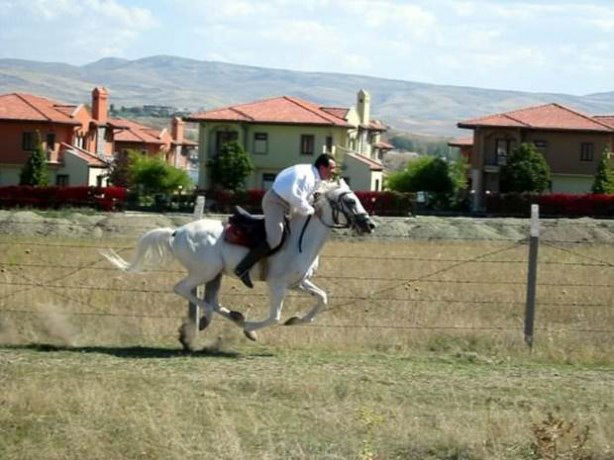 fotograflarla-muhsin-yazicioglu-49