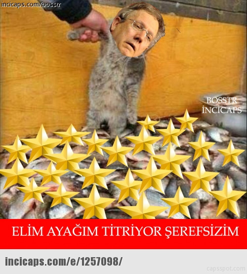 besiktasin-sampiyonluk-capsleri-sosyal-medyayi-salladi-3