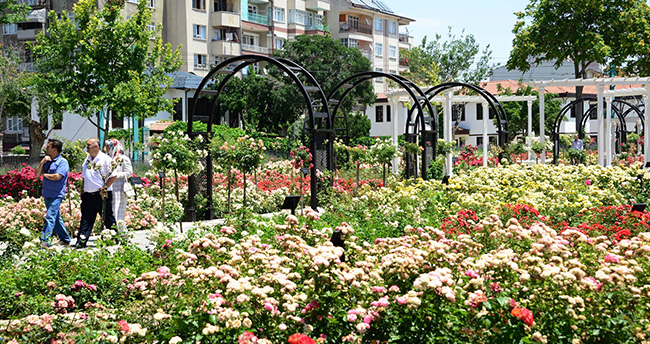 konyada-gulbahceye-yogun-ilgi-2
