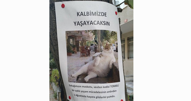 sosyal-medya-fenomeni-tombili-hayatini-kaybetti-2
