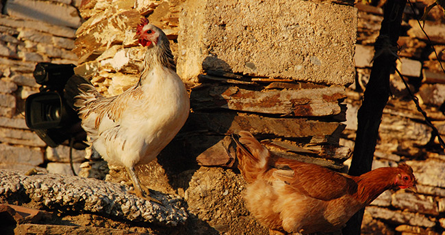 internetten-arastirip-ise-basladi-simdi-paraya-para-demiyor-2